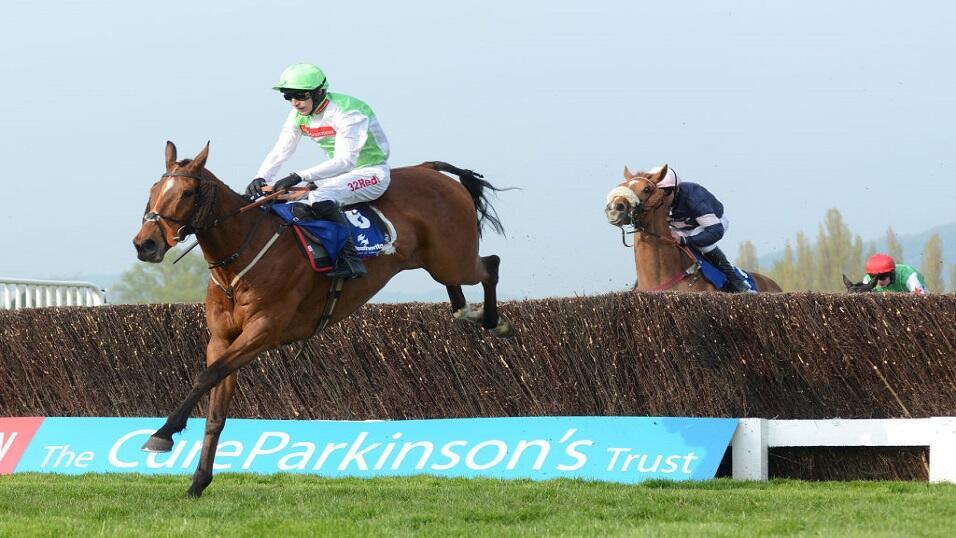 Perfect Candidate in action at Cheltenham